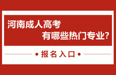 河南成人高考有哪些热门专业？